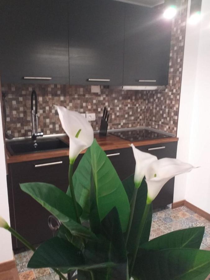 Apartament Loft 113 Corralejo Zewnętrze zdjęcie