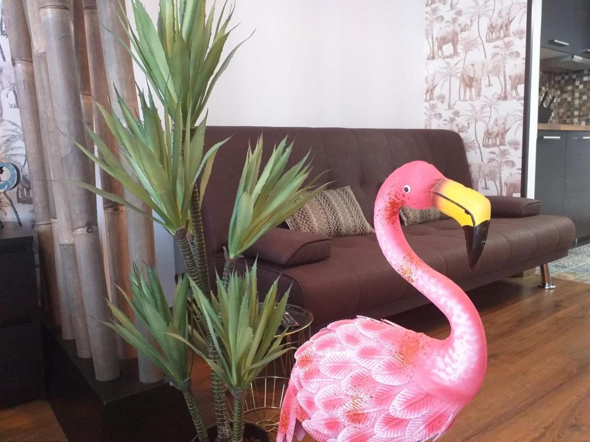 Apartament Loft 113 Corralejo Zewnętrze zdjęcie